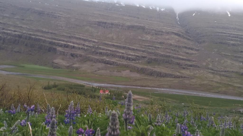 Fossardalur Guesthouse Djúpivogur Eksteriør bilde