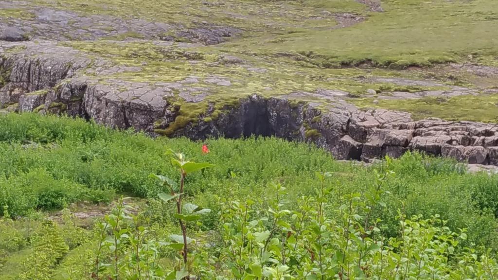 Fossardalur Guesthouse Djúpivogur Eksteriør bilde