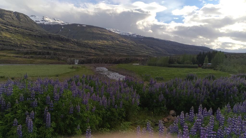 Fossardalur Guesthouse Djúpivogur Eksteriør bilde